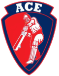 Best Cricket Academy In Delhi | Ace Cricket Academy